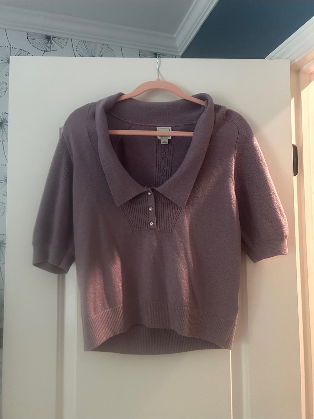 Maeve Anthro Women’s V-Neck Short-Sleeve Sweater in Lavender